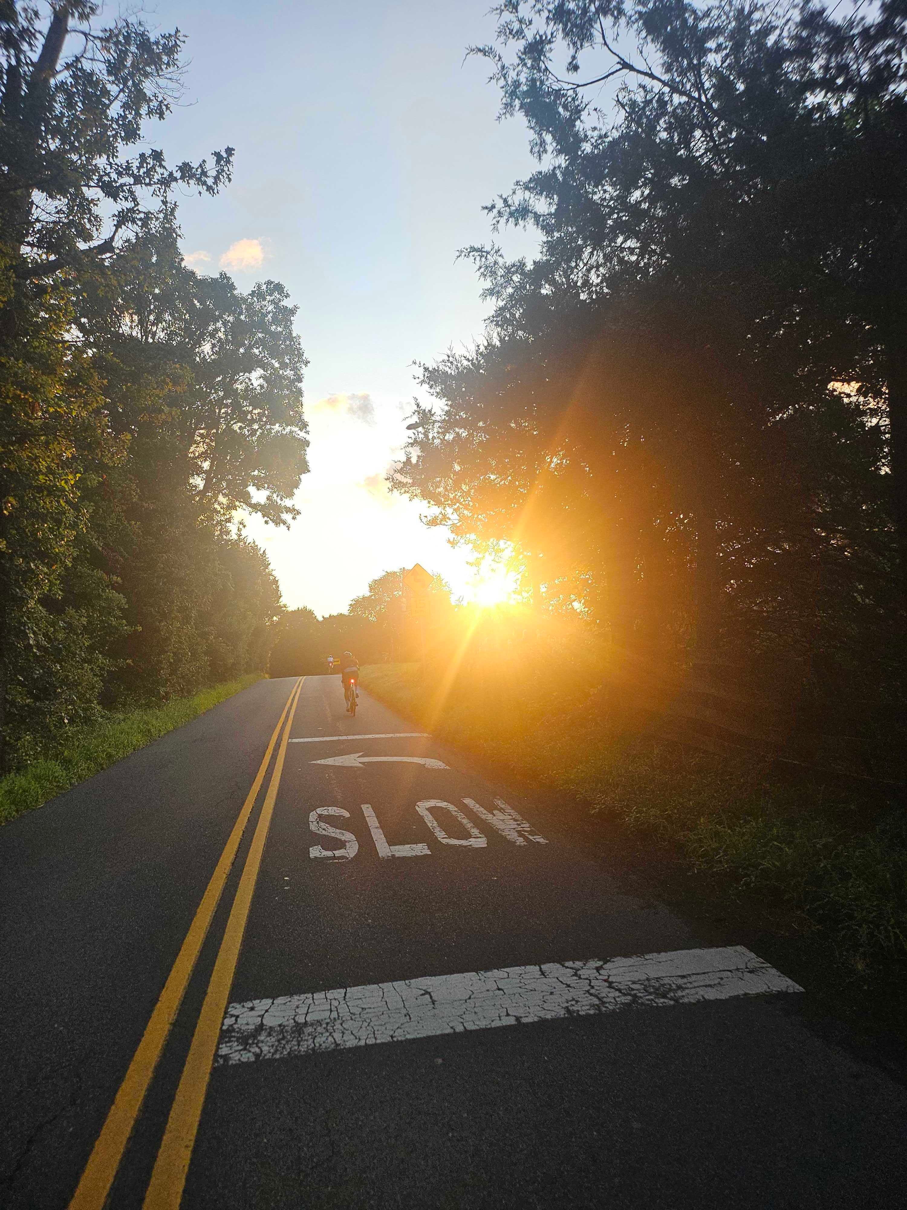 Korvelo rider cycling into the sunrise on a country road